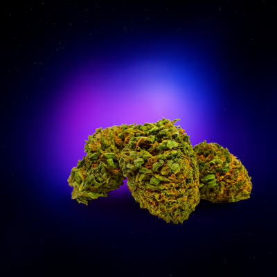 Amnesia Small | 16% CBD | Glasshouse