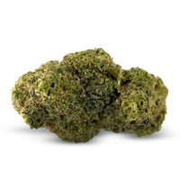 Gelato