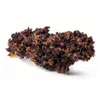Purple Kush 22% CBD